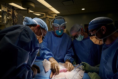 重要突破：为成千上万器官移植患者带来新希望！