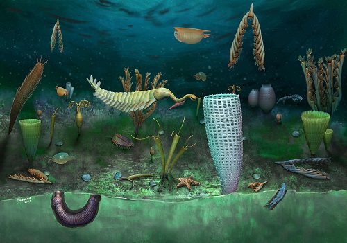 4.62亿年前海洋生物群发现了海洋生物群