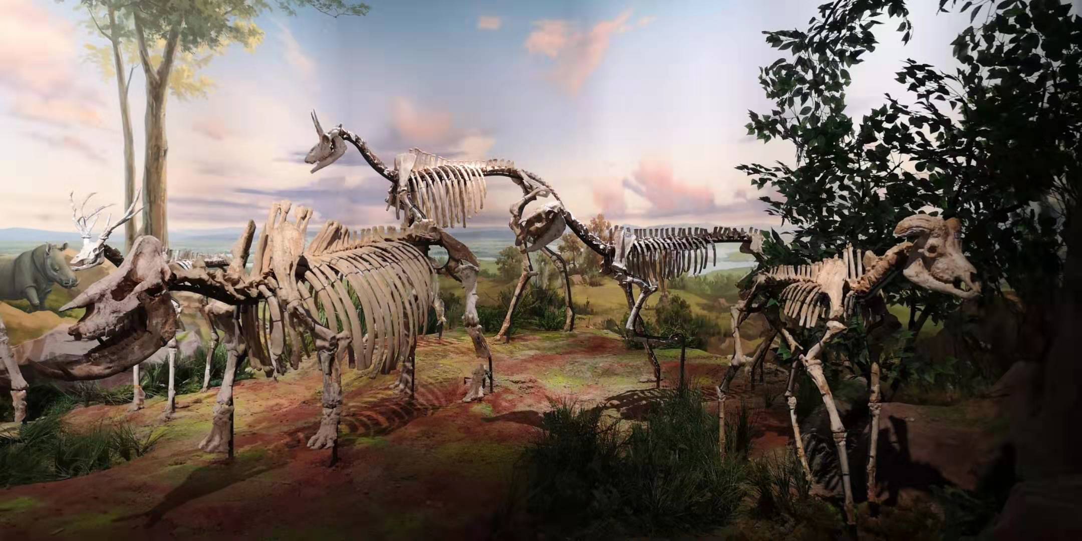 5亿年前临沂动物群 打开探索寒武纪演化动物群新窗口-荆楚网-湖北日报网