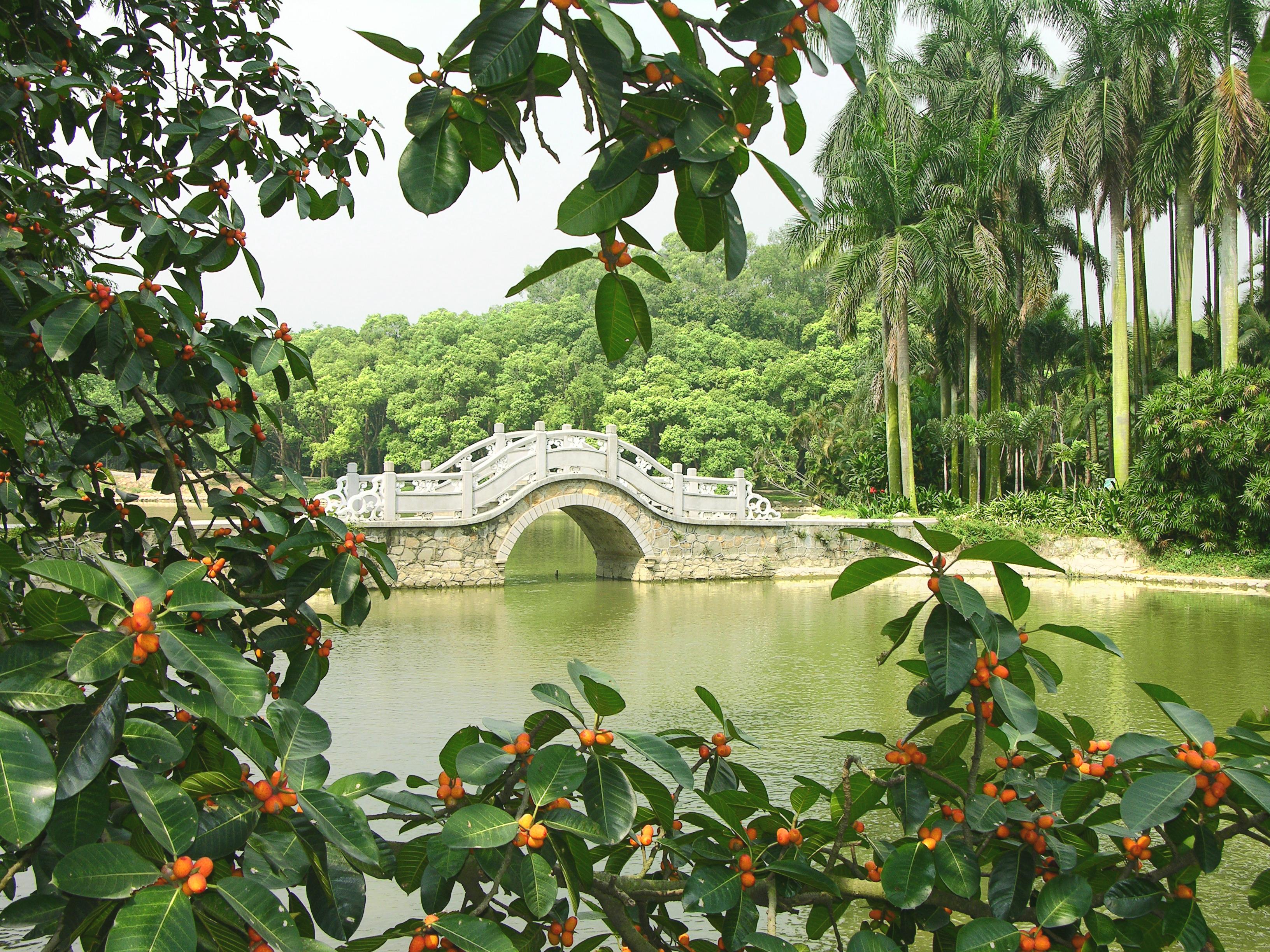 华南国家植物园入选广州市第一批历史名园
