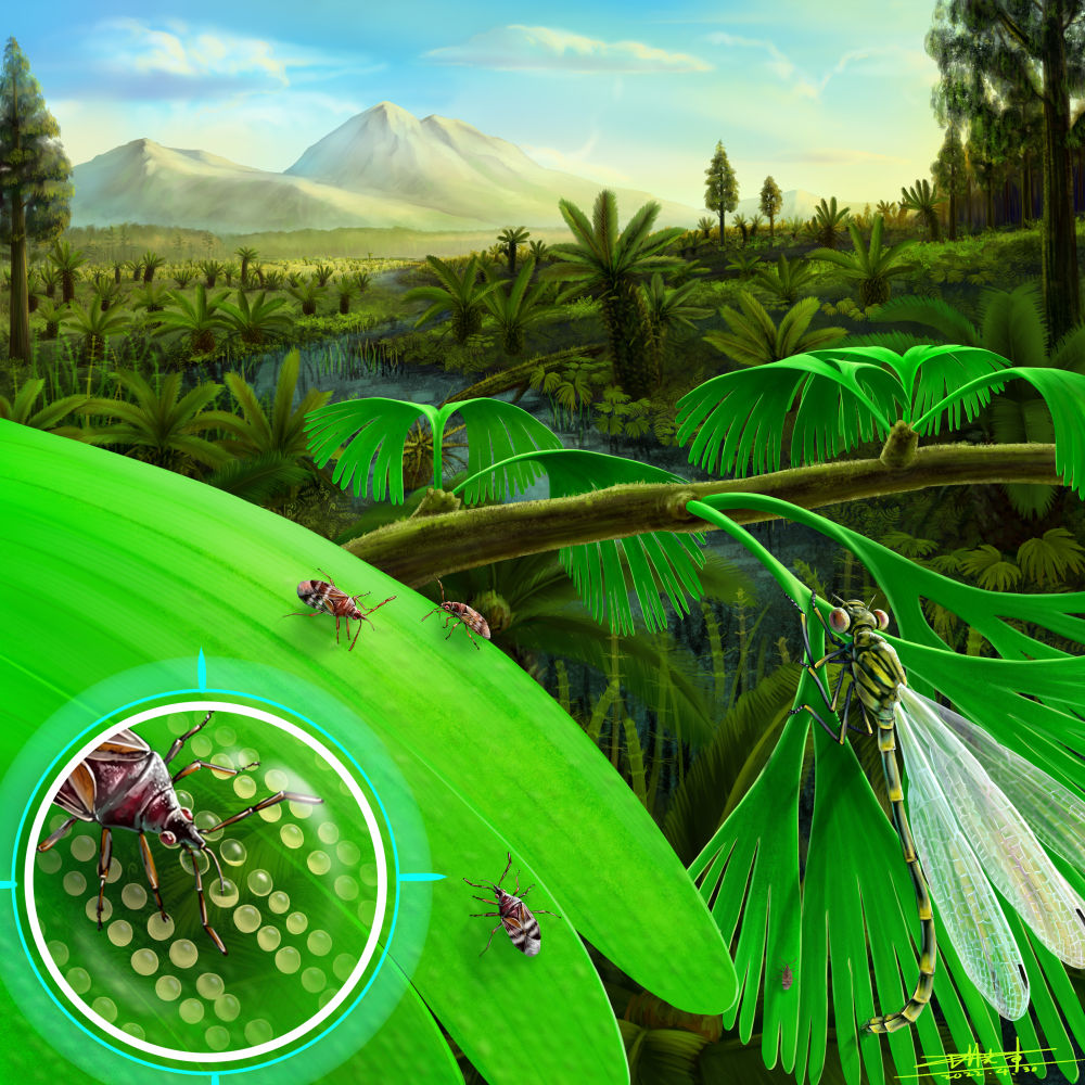 2亿年前，“藏”在叶片内的虫卵被偷吃了