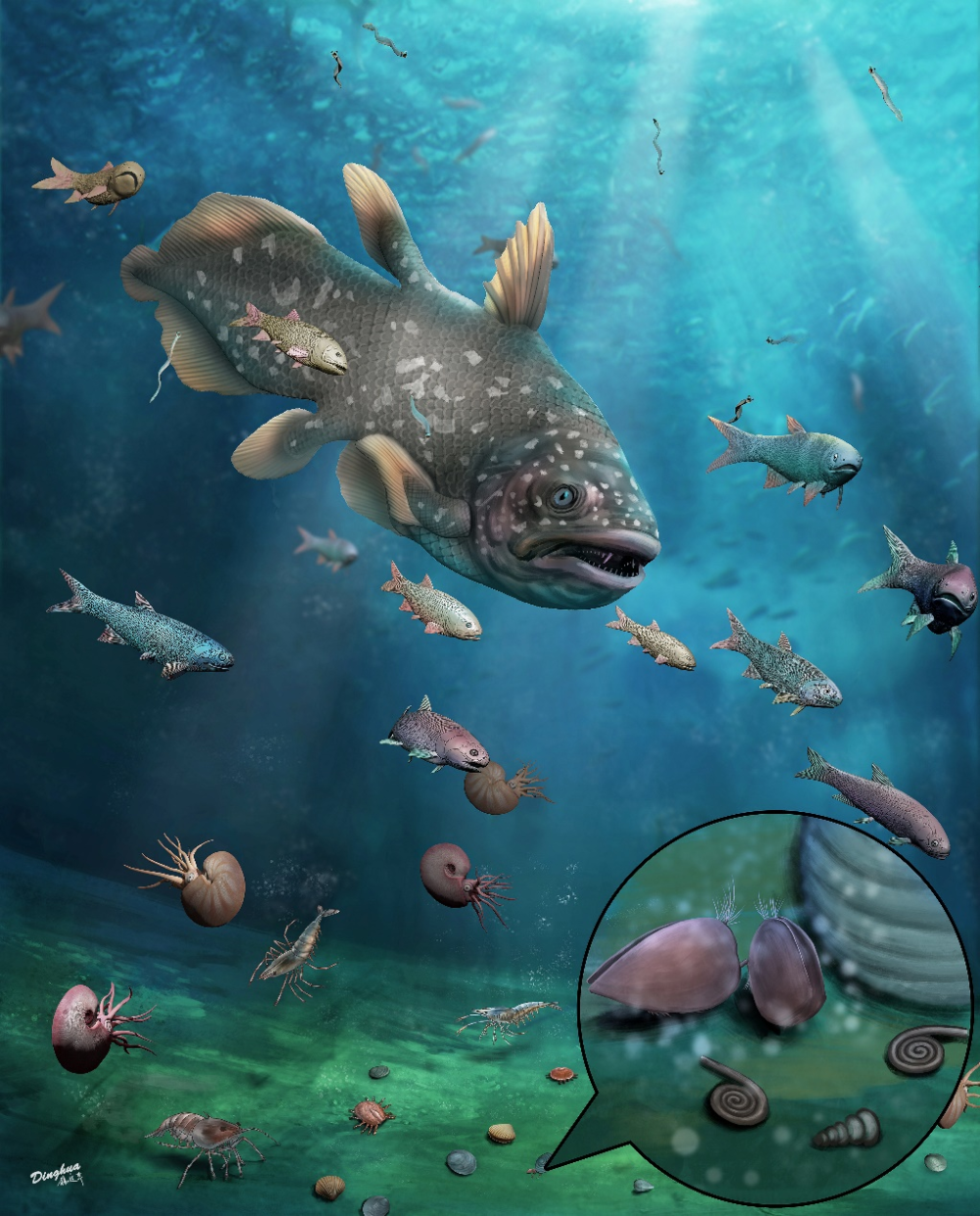 化石|2.5亿年前化石宝库现世：展现史上最大生物大灭绝后的新世界