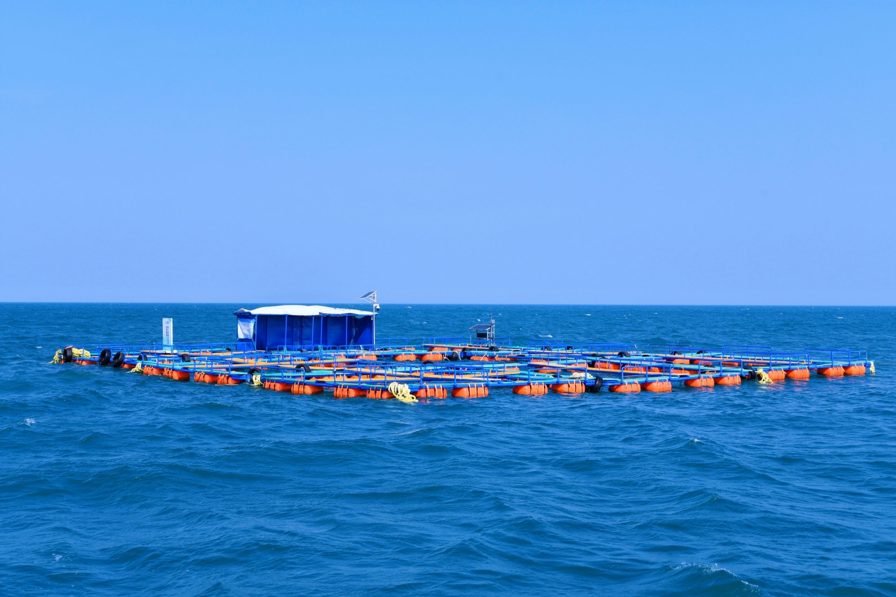 中国最大的开放式海水铀提升试验平台，投入使用！