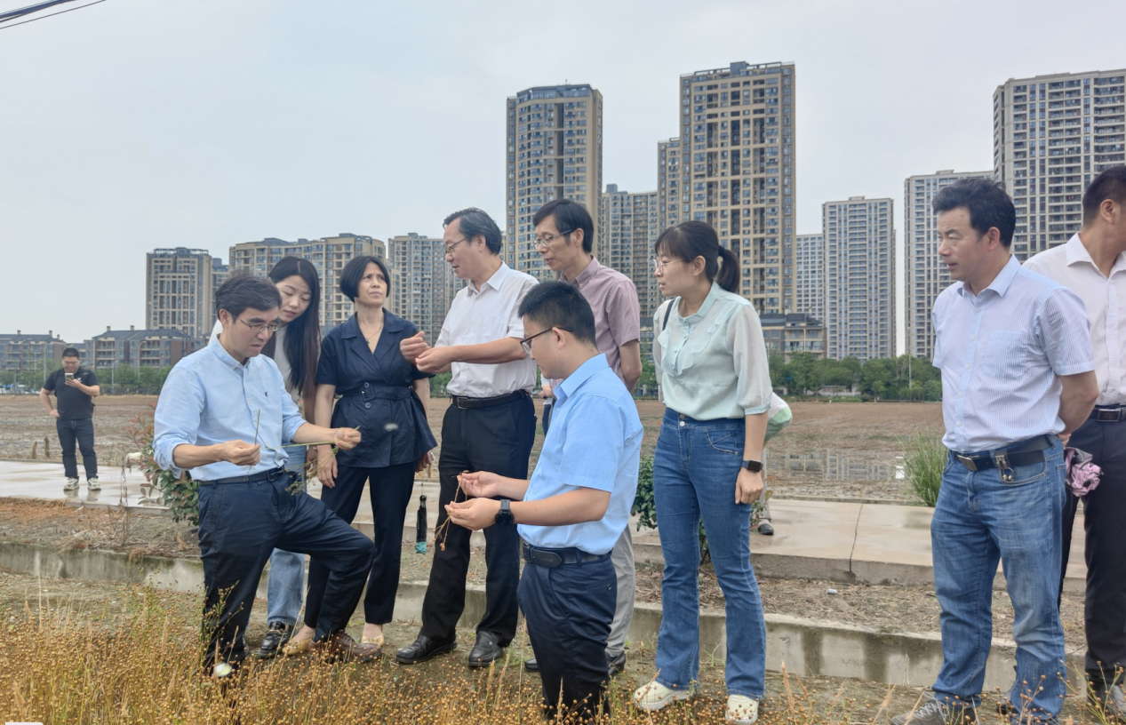 多用途亚麻栽培技术研究与示范现场观察与交流会在杭州召开