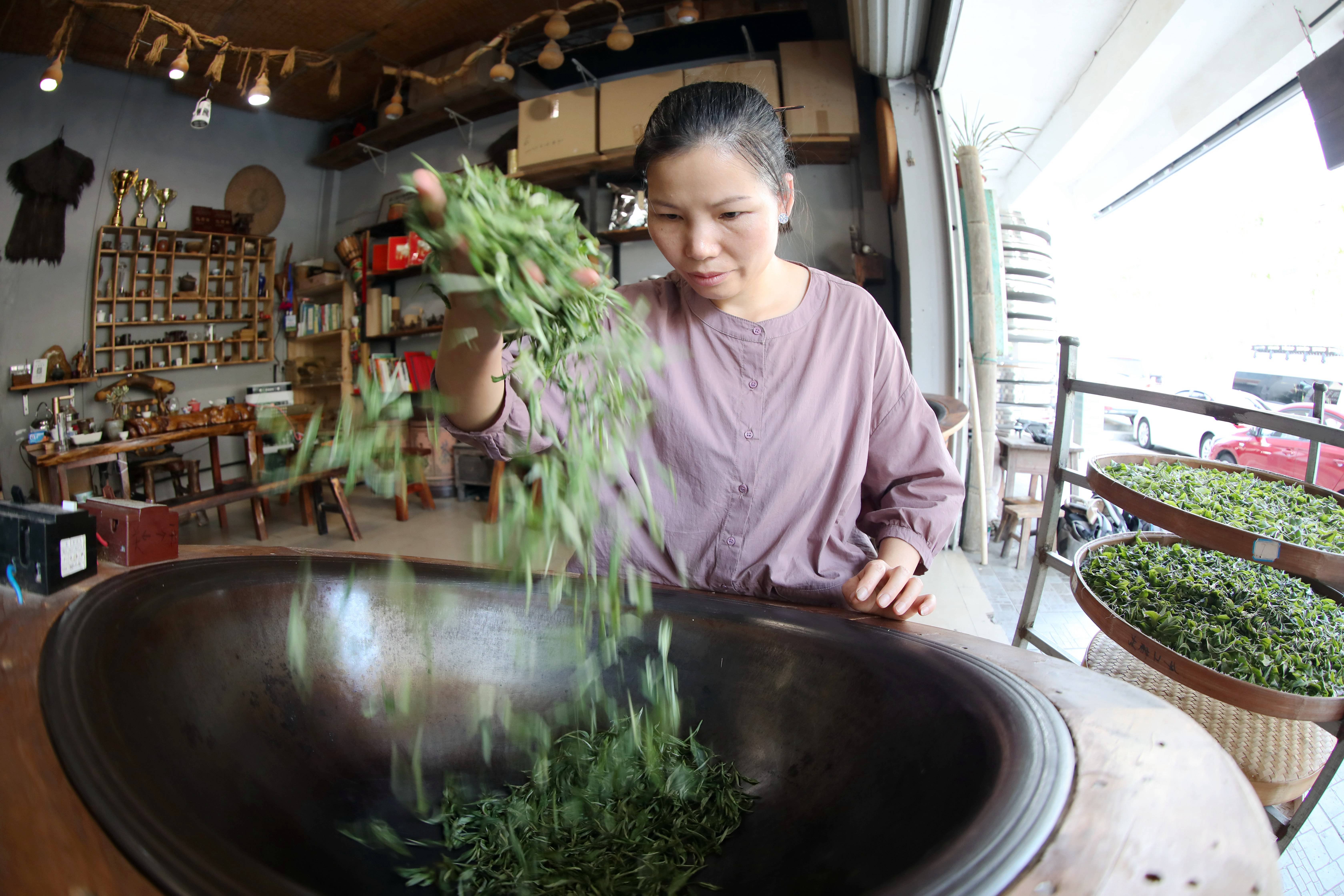 龙丽群，全国农业技术专家：继承手工制茶工艺 让三江茶品牌更加响亮