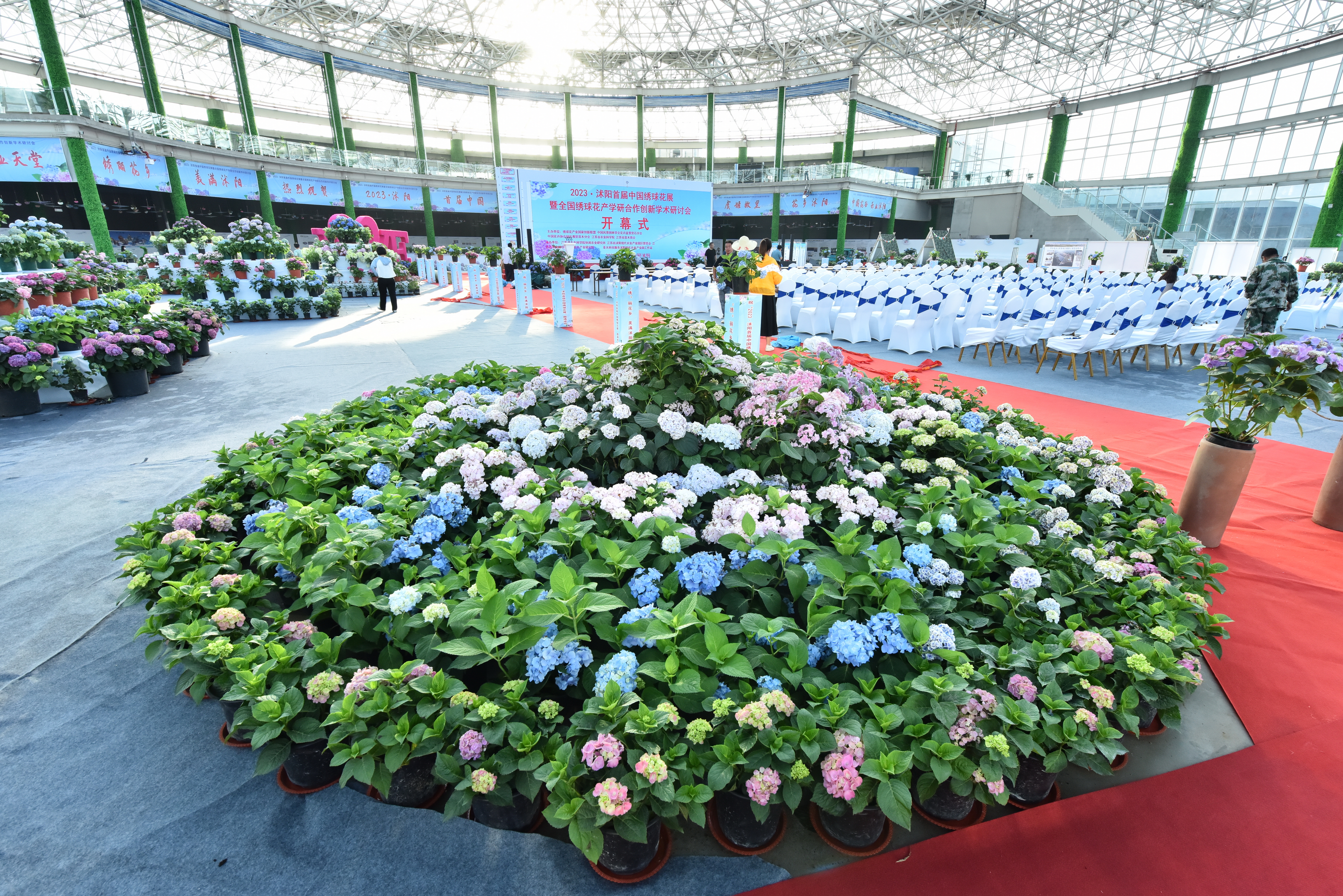 江苏农业科学院以创新联盟为纽带，提升绣球花产业竞争力