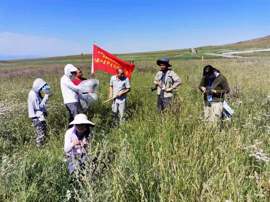 新疆：彻底了解农作物种质资源的家庭背景