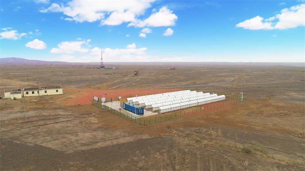 新疆油田公司首个稀油光热利用项目正式投产