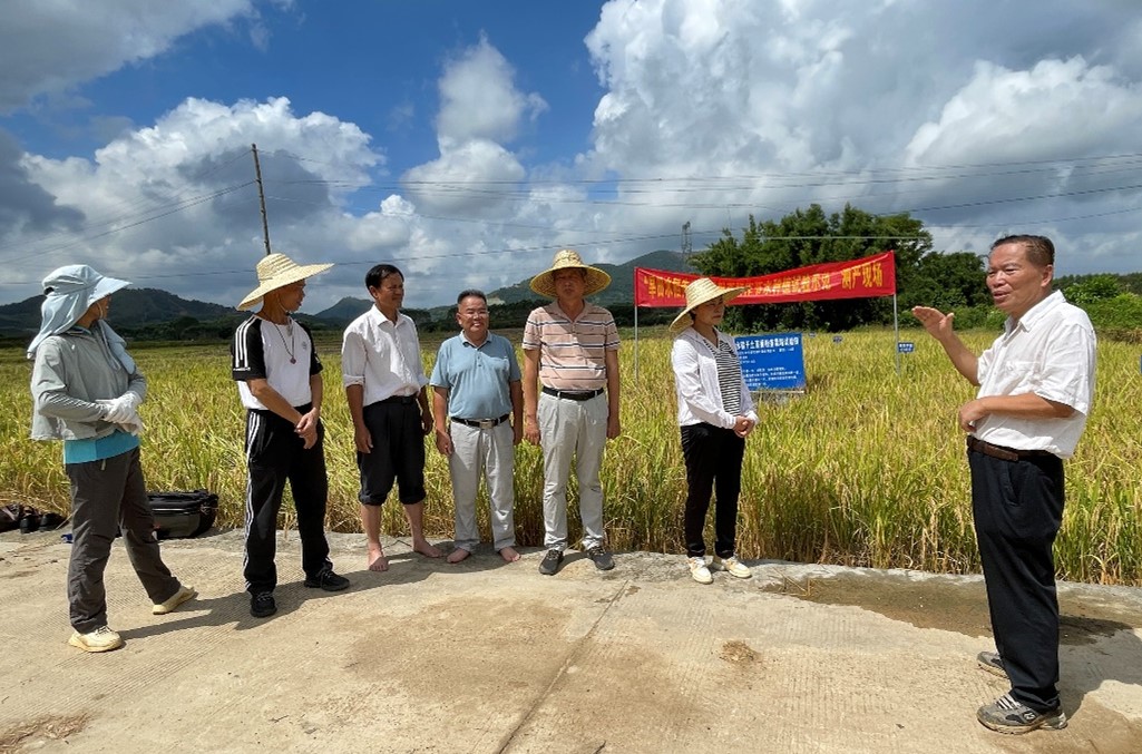 “旱田水稻先直播后粉垄节水种植试验”项目通过专家验收