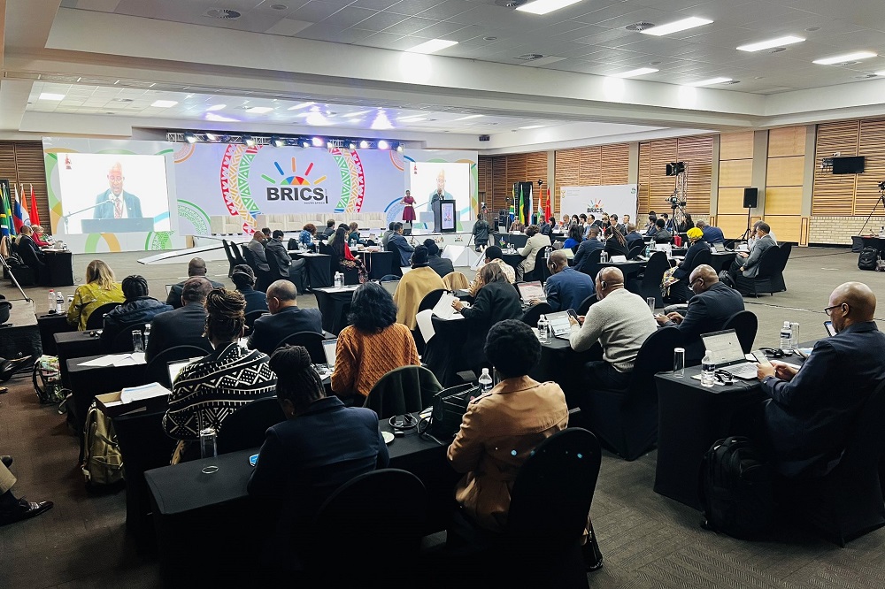 南非举办金砖国家教育部长第十次会议