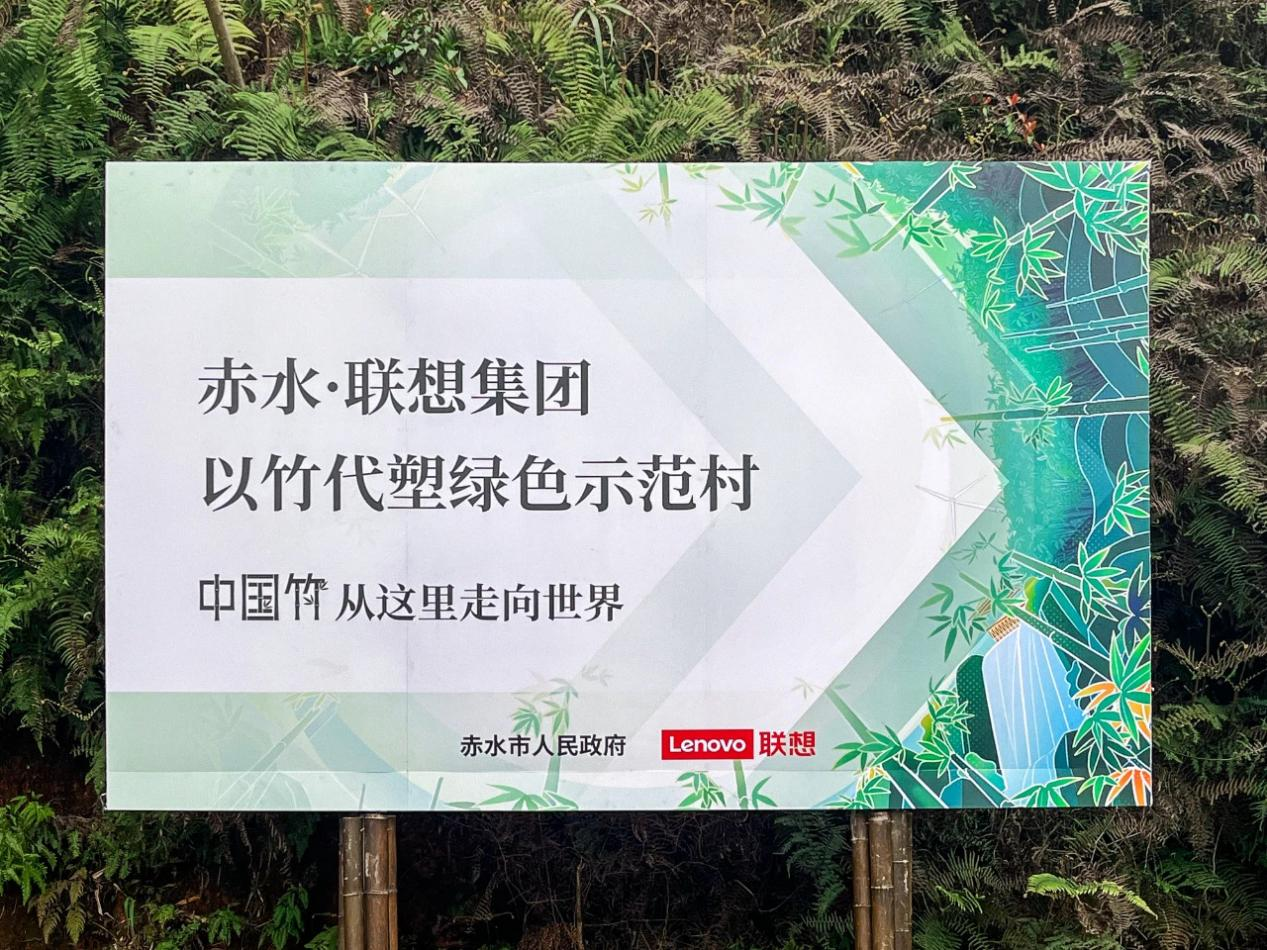 贵州赤水：“以竹代塑”万亩竹林点绿成金