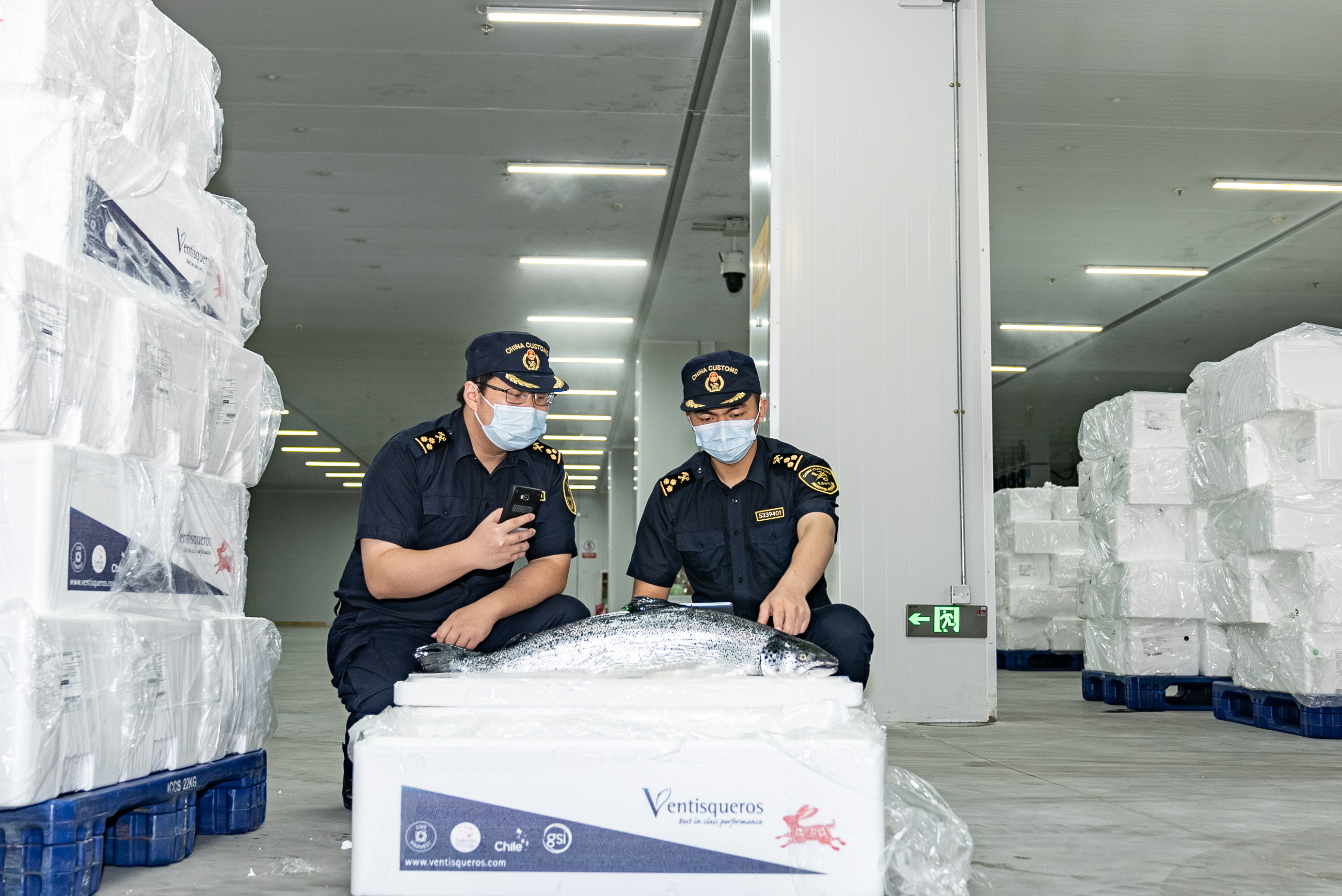 “空中快线”抢“鲜” 深圳机场口岸进口冰鲜水产品货量增2倍