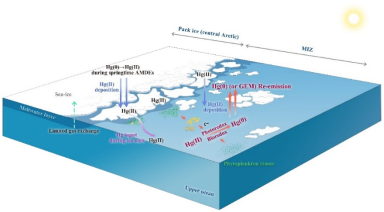 研究发现：北冰洋边缘冰区是大气汞的重要来源