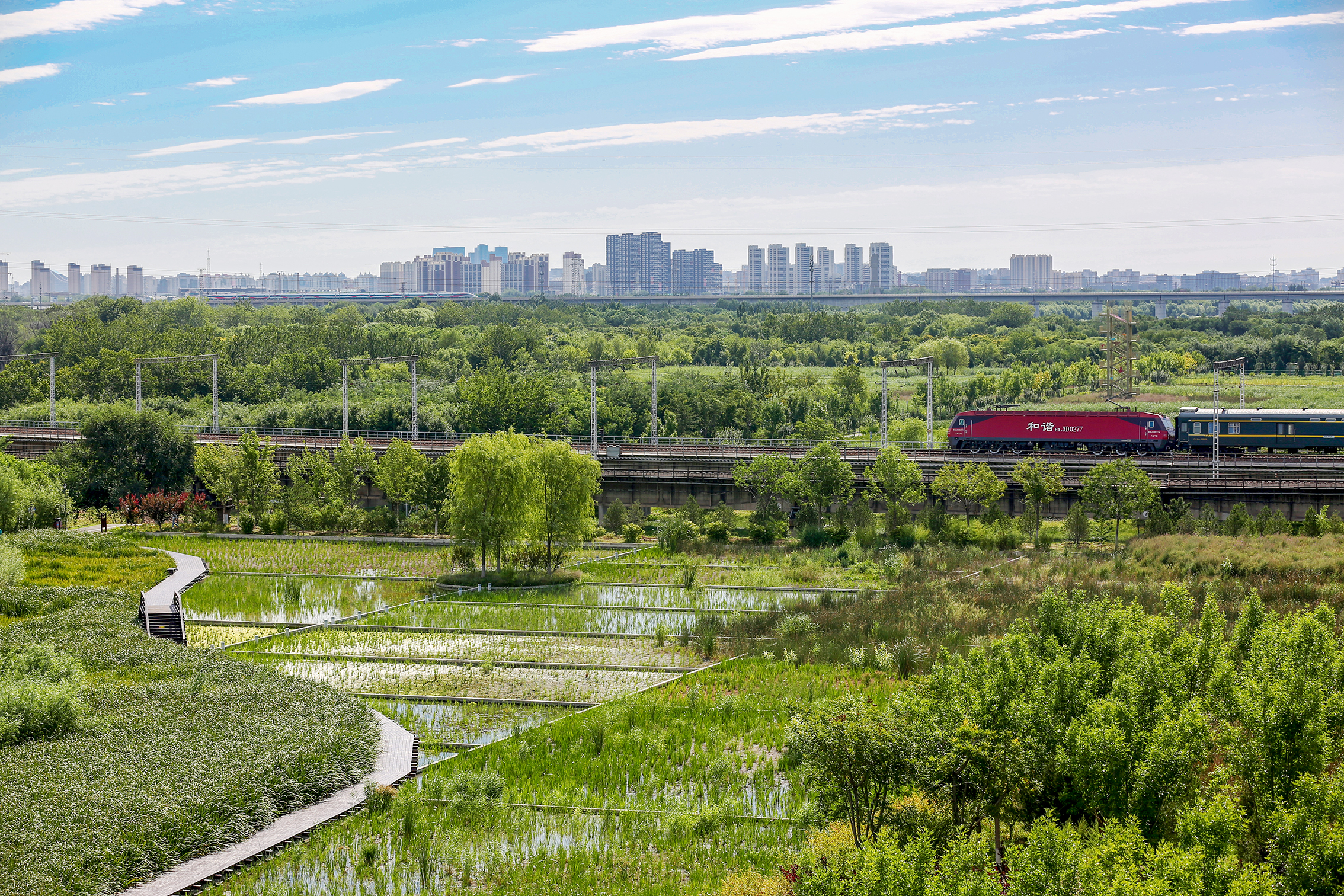 科学绿化 绘就美丽北京绿色画卷