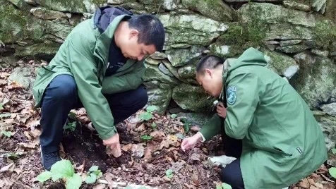 庐山国家级自然保护区发现我国大型真菌新记录种