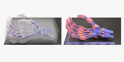 首度利用慢速固化塑料，3D打印机械手有了骨骼、韧带和