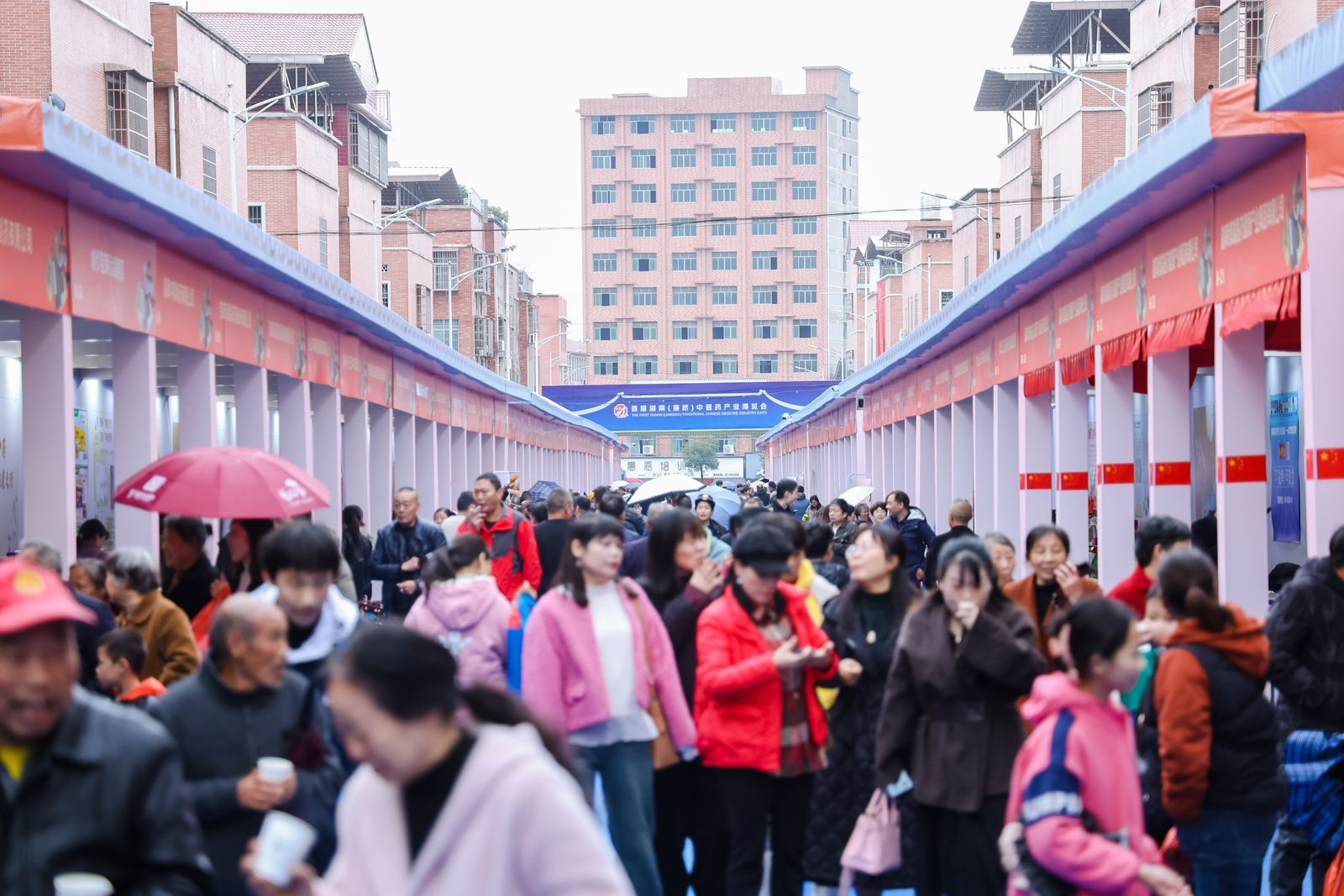 首届湖南（廉桥）中医药产业博览会收官 总成交额超128亿元
