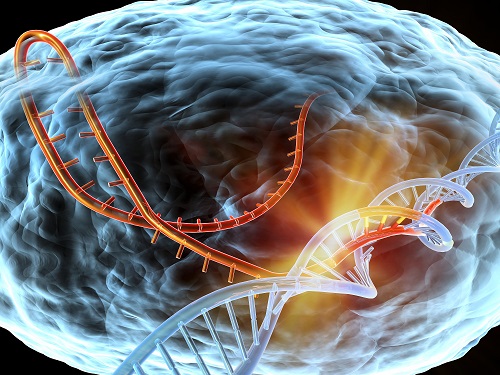 迈向CRISPR 2.0，下一代基因编辑技术方兴未艾