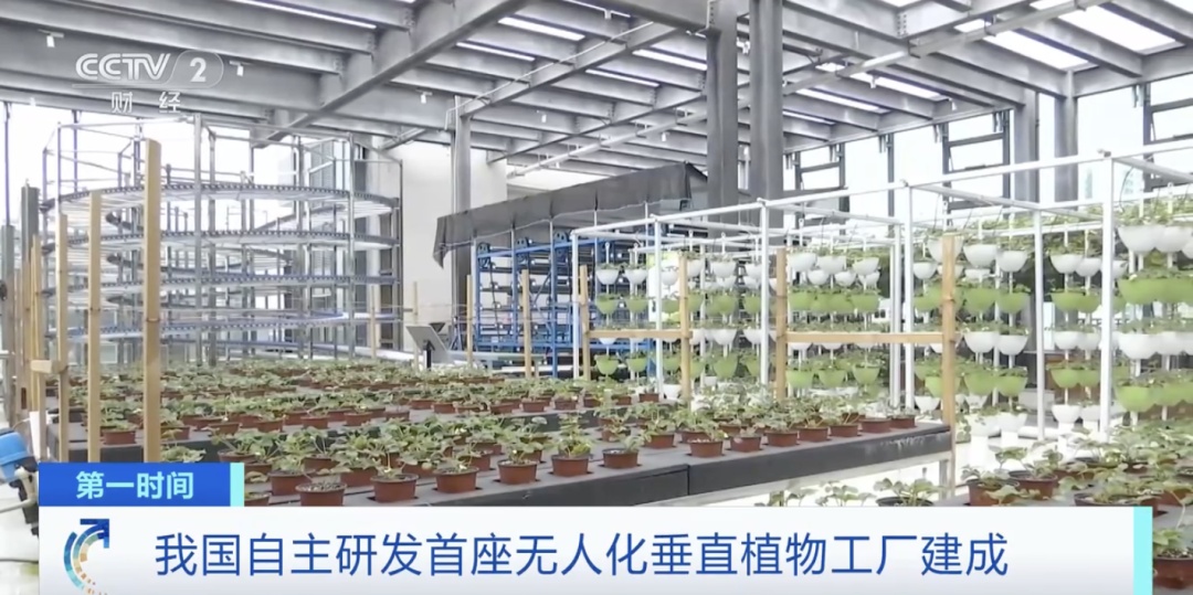 世界首例！我国自主研发无人化垂直植物工厂