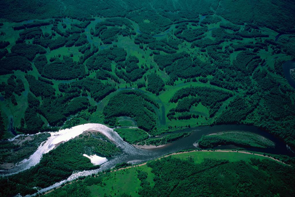绿海生“金”——我国最大国有林区兼顾保护与发展