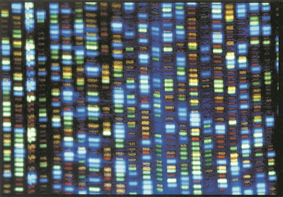 深瞳丨人类基因组计划已完成二十年 DNA何时实现“随手测”
