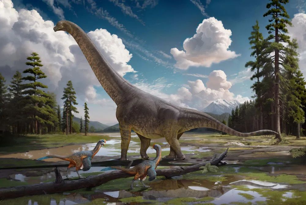 体长超14米 我国发现命名恐龙新属种