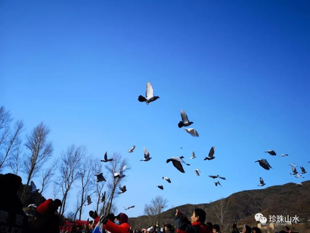 北京延庆：“鸟节”唤你体验大山深处民俗风情