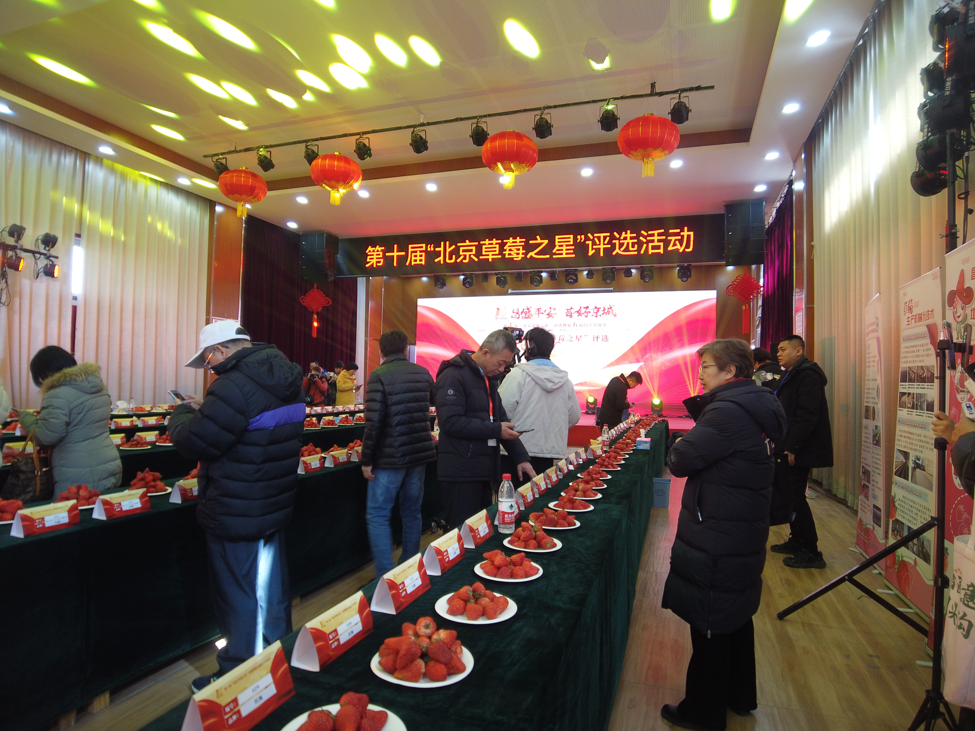 第十届“北京草莓之星”评选活动启动