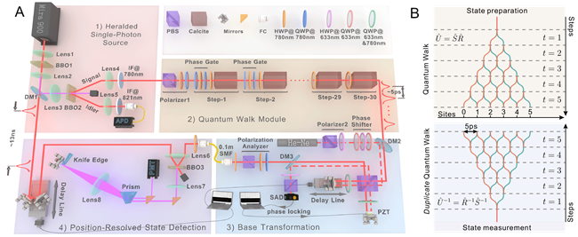我国科学家实现开放光量子行走的高效机器学习