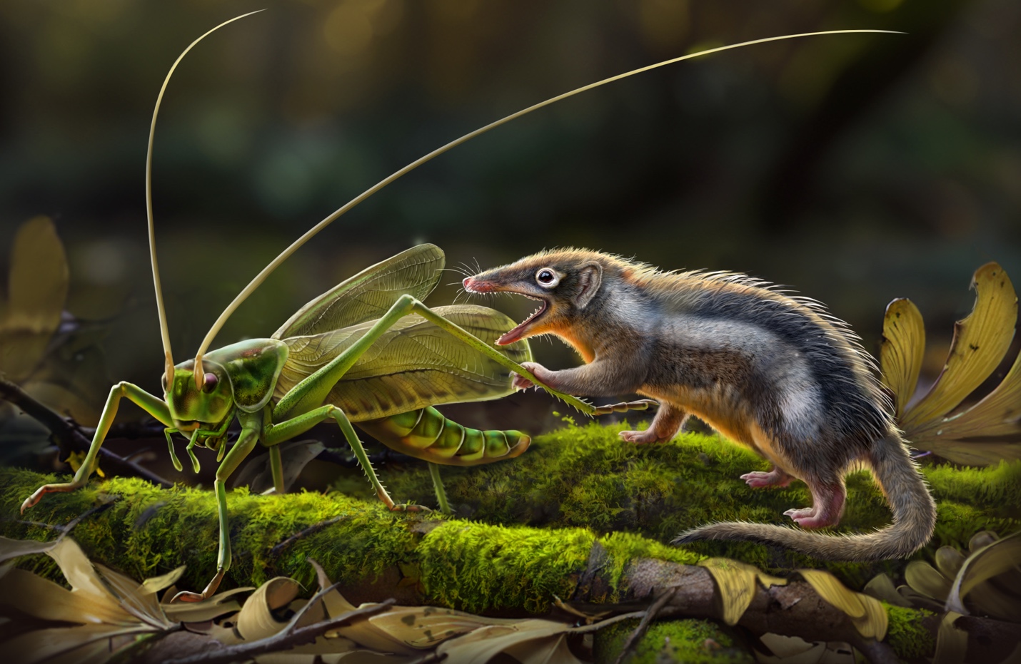 中国侏罗纪标本改写哺乳动物生命树演化结构