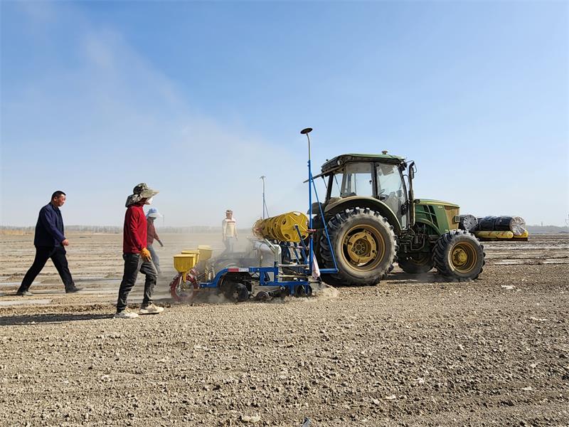 新疆兵团一四四团：“智慧农机”播种30.6万亩棉花