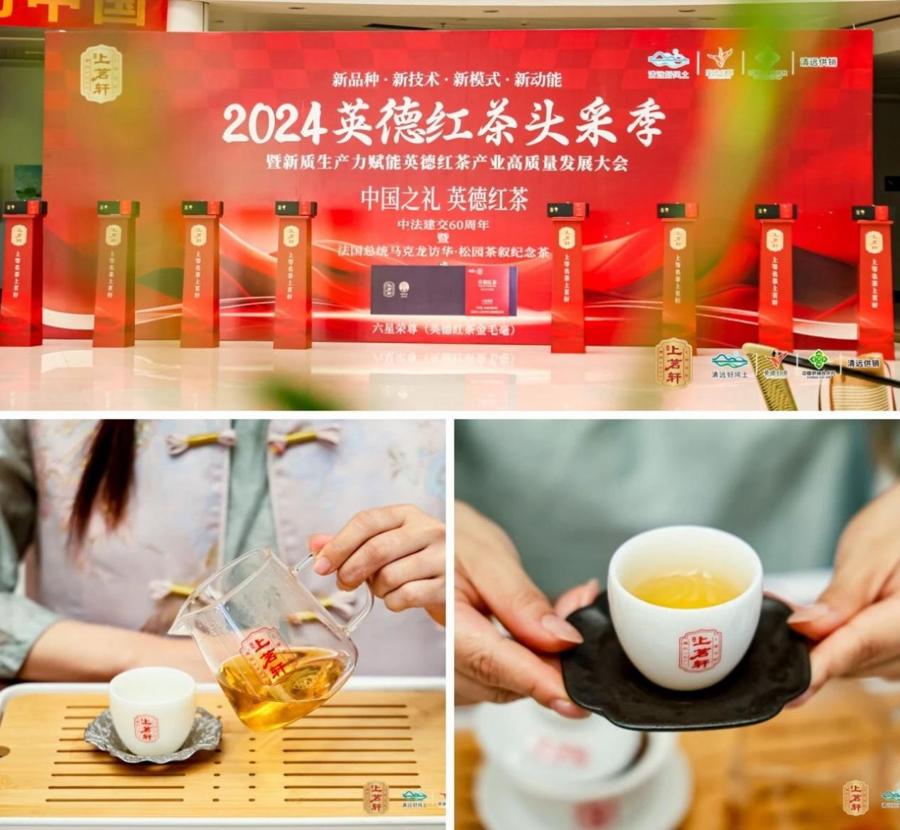 第六届中国·英德红茶头采季（清远分会场）活动举行